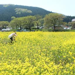 宮城県出身福島県福島市在住、広報プラン・企画マネジメント・自分自身を探るライティング・ワーク主催、プラス・アイディア代表 鉄本由美（てつもとゆみ）。自分らしい人生を”ときめき”ながら歩む、”ひらめき”を詰め込んだブログを更新中。