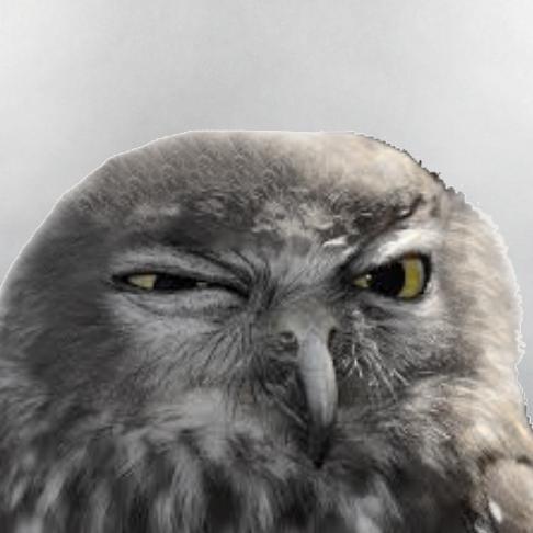 OwlsBeforeVals's profile picture. Owl Kilmer doing his thing. Reimagining himself as an actor and eating mice.