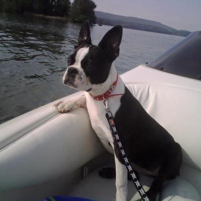 LakeWife's profile picture. 