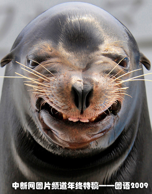 July77_July77's profile picture. 