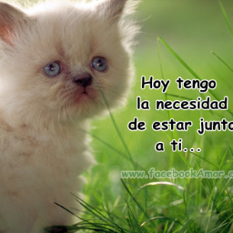 sergio130762's profile picture. 