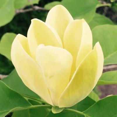 LawrieKathryn's profile picture. 