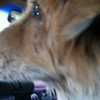 inmerrillmccarty (@merrillgmccarty) 's Twitter Profile