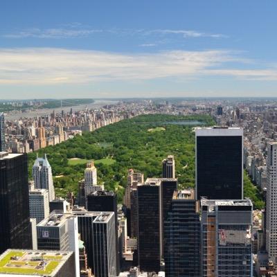 CunningCaracal's profile picture. 