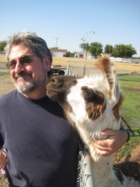 expertman's profile picture. librarian, teacher, know-it-all