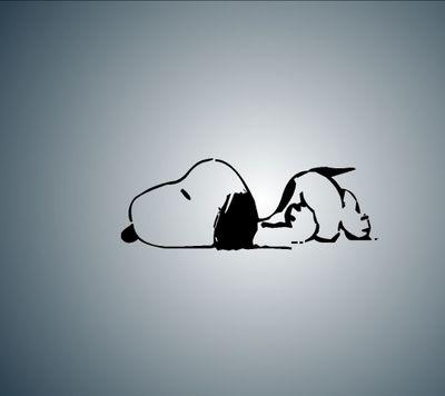 BlackParadoxxCo's profile picture. Black Paradoxx Clothing ©
Est. 2015