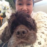 清水よし子 (@yoshiko629) 's Twitter Profile Photo