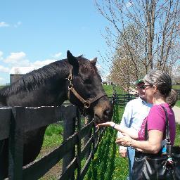 Horses, cats, lots of laughs. Purdue grad, Cub fanatic. I always eat dessert.