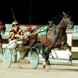 President of the Tas Bookmakers Association, former part - owner Thorate, freelance racing journalist.