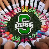 Lady Irish Soccer (@dshsgirlssoccer) 's Twitter Profile