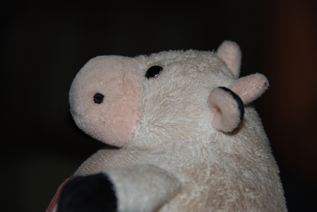 mpeterman's profile picture. @mpeterman@sfba.social