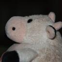 Mark Peterman - @mpeterman - Twitter