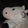 mpeterman's profile picture. @mpeterman@sfba.social