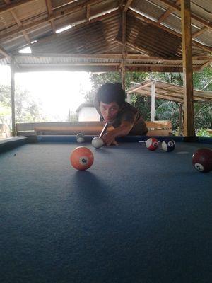 ambyo_singgang's profile picture. fb Singgang ambyo ||
Ig singgang ambyor  ||
pin 7E87006B