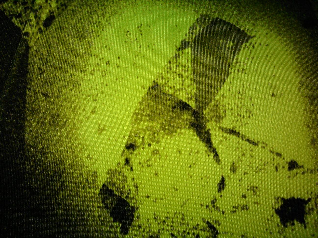 harrihernandez2's profile picture. 20.