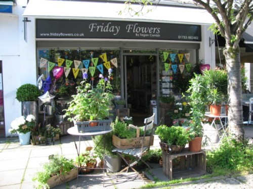 FridayFlowersUK's profile picture. Friday Flowers Ltd. Twitter Feed!
