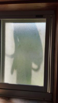 tcbn361102's profile picture. 