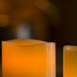 nishi35335656's profile picture. 