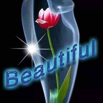 KAZIFARUK1's profile picture. 