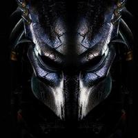 Mindu (@minduv8) 's Twitter Profile