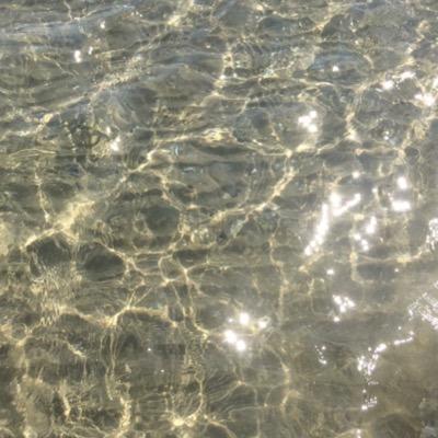 feelthechanges's profile picture. do it for yourself