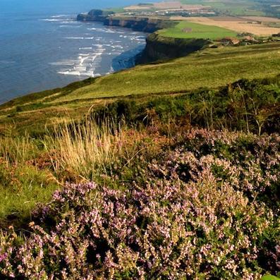 Working with tourism businesses from moors to coast to help visitors find, buy, enjoy authentic experiences and highlight local distinctiveness