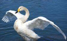 t9s89xh2vted581's profile picture. 、