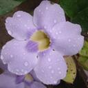 Francielli Conti - @FranContiS2 - Twitter