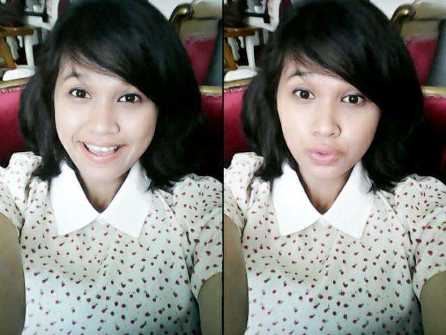 NNovetrimelta's profile picture. 