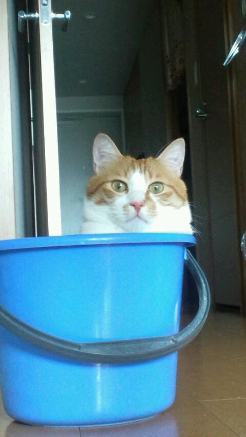 mamanaonao8462's profile picture. 