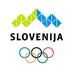 Team Slovenia (@TeamSlovenia) Twitter profile photo