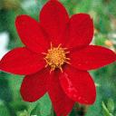 Beatriz Guzman - @beaguz75 - Twitter