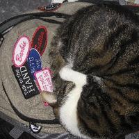 Elena (@purringmulan) 's Twitter Profile Photo Elena (@purringmulan) 's Twitter Profile Photo