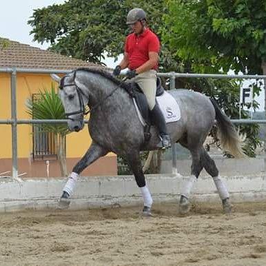 ganaderiasilva's profile picture. 