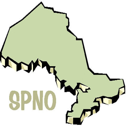 The Social Planning Network of Ontario exists to strengthen the capacity of voluntary, community-based social planning organizations.