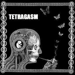 We are a two piece band from Owosso, MI. We play 100%, in the moment, improvised sets. Names and labels don't matter. We're here to TETRAGASM!