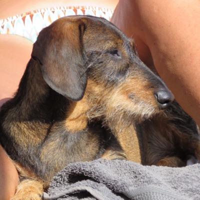 MamVasori's profile picture. Ottimista!