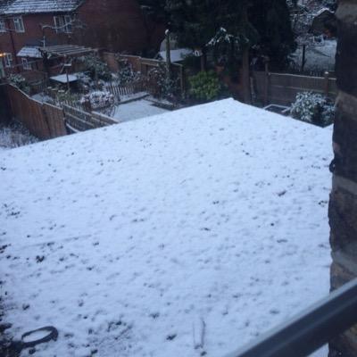 tinku_the's profile picture. 