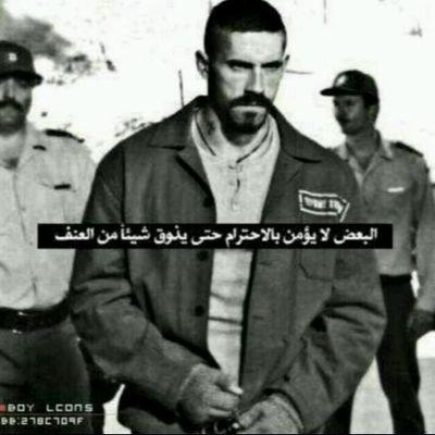 gmailvvvvvvv's profile picture. 