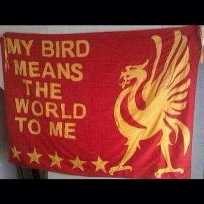 leedonaldprent's profile picture. Liverpool fan & single parent to a fabulous boy. #ynwa #lfc