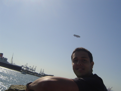 elsotogt's profile picture. 