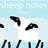 Sheep Notes