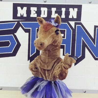 Medlin Middle Schools mascot, Mosey the Mustang!