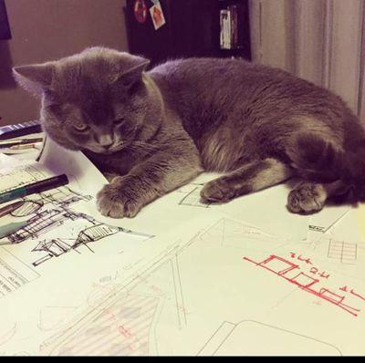 Mimar_su's profile picture. ofiste 'şu stajyer kız'
sanayide 'abla'
şantiyede 'bağğyaaağn!'
en azından sokakta hala 'hanfendi'
ama en 'düz'ünden MİMAR adayı bir piremses
mrrrrrr...