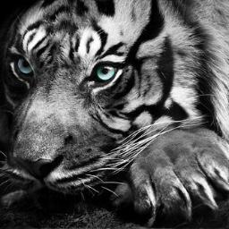 johanbarkhah58's profile picture. 