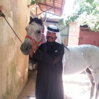 عبدالله الفضيلي، (@aalfdilii) Twitter profile photo
