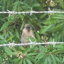 carter ellis king - @CarterKingXD - Twitter