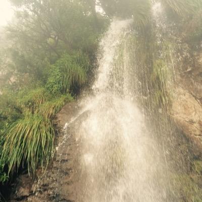 mithun385's profile picture. 