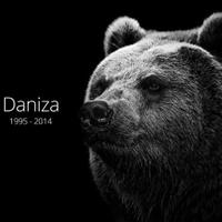 Giovanni Villani (@gio1893) 's Twitter Profile Photo