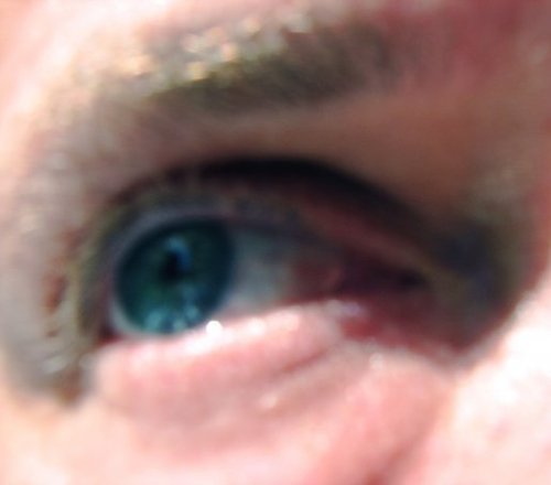 keithswist's profile picture. 